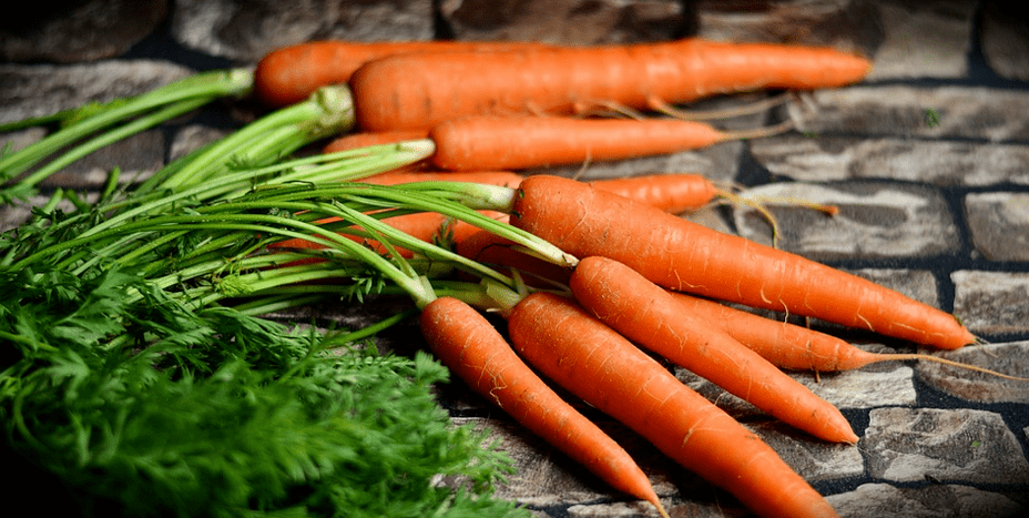 des carottes pour préserver la jeunesse